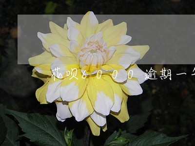 花呗6000逾期一年说要上门 花呗6000逾期一年说要上门
