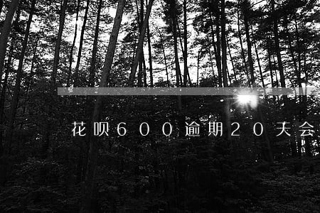 花呗600逾期20天会咋样 花呗600逾期20天会咋样