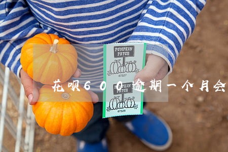 花呗600逾期一个月会怎么样