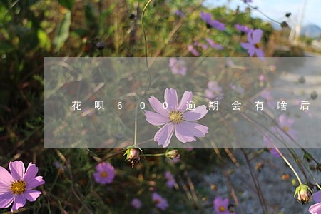花呗600逾期会有啥后果 花呗600逾期会有啥后果