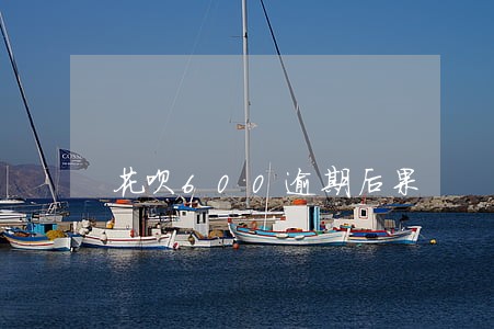花呗600逾期后果 花呗600逾期后果