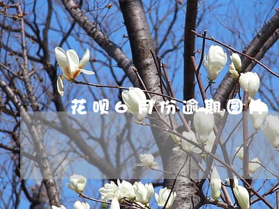 花呗6月份逾期图片 花呗6月份逾期图片