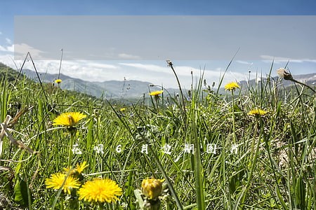 花呗6月逾期图片 花呗6月逾期图片