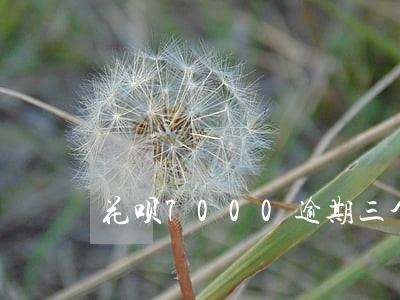 花呗7000逾期三个月 花呗7000逾期三个月