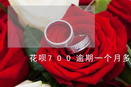 花呗700逾期一个月多少利息 花呗700逾期一个月多少利息