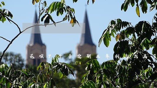 花呗7千多逾期三年利息太高了 花呗7千多逾期三年利息太高了