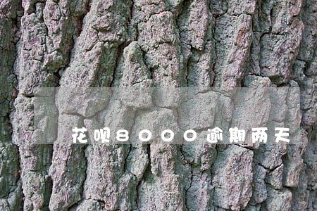 花呗8000逾期两天 花呗8000逾期两天