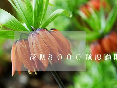 花呗8000额度逾期