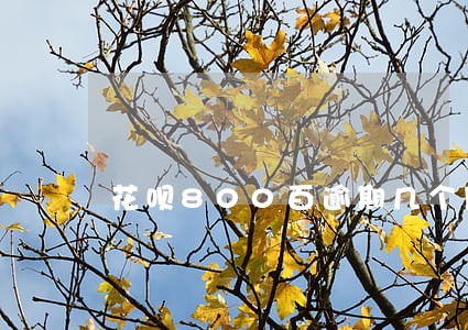 花呗800百逾期几个月后果