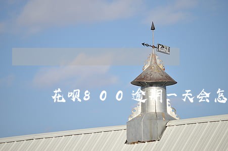 花呗800逾期一天会怎样 花呗800逾期一天会怎样