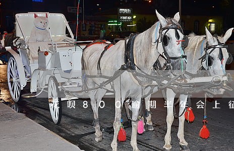 花呗800逾期半年会上征信吗 花呗800逾期半年会上征信吗
