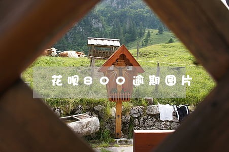 花呗800逾期图片 花呗800逾期图片