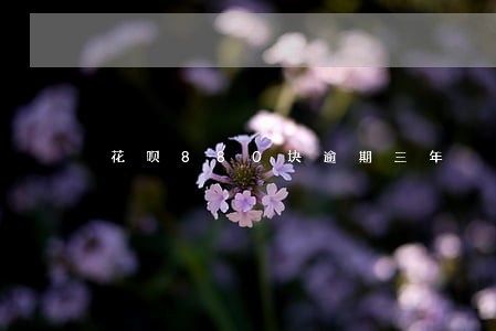 花呗880块逾期三年 花呗880块逾期三年
