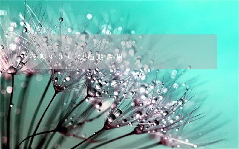 花呗900块逾期后果 花呗900块逾期后果