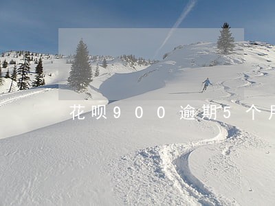 花呗900逾期5个月打电话