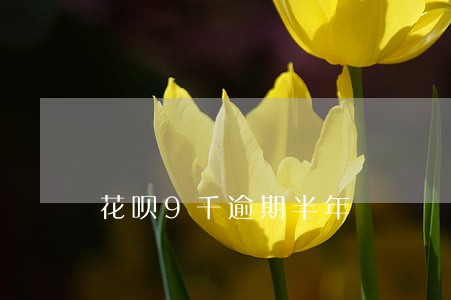 花呗9千逾期半年 花呗9千逾期半年
