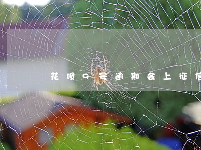 花呗9号逾期会上征信吗 花呗9号逾期会上征信吗