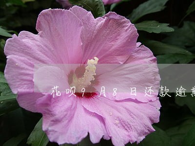 花呗9月8日还款逾期7日还清 花呗9月8日还款逾期7日还清