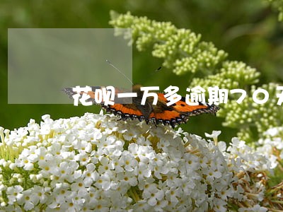 花呗一万多逾期70天后怎么处理 花呗一万多逾期70天后怎么处理