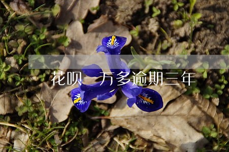 花呗一万多逾期三年