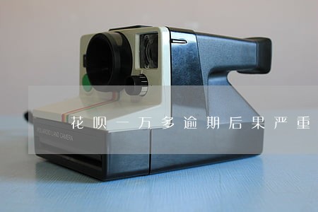 花呗一万多逾期后果严重