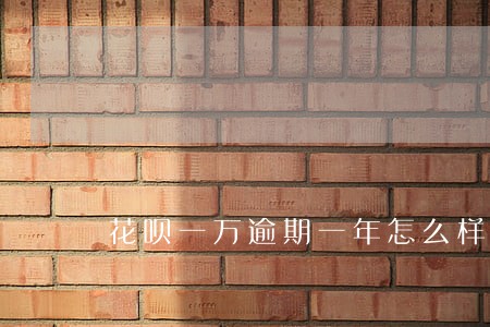 花呗一万逾期一年怎么样