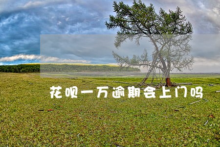 花呗一万逾期会上门吗 花呗一万逾期会上门吗