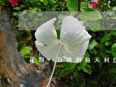 花呗一万逾期每天利息多少 花呗一万逾期每天利息多少