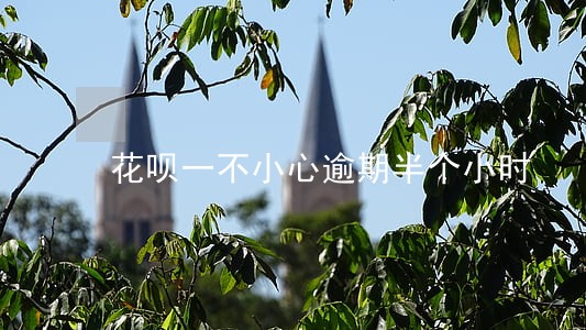 花呗一不小心逾期半个小时 花呗一不小心逾期半个小时