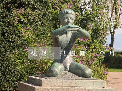 花呗一共逾期一个月 花呗一共逾期一个月