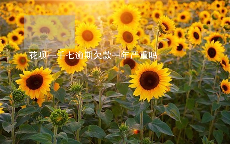 花呗一千七逾期欠款一年严重吗
