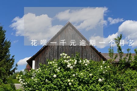 花呗一千元逾期一个月多少钱 花呗一千元逾期一个月多少钱