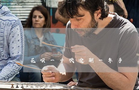 花呗一千块逾期一年多 花呗一千块逾期一年多