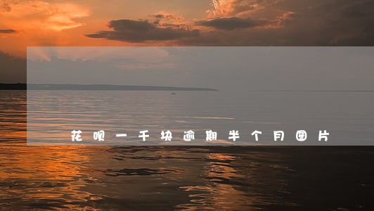 花呗一千块逾期半个月图片