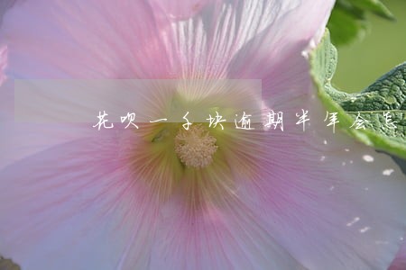花呗一千块逾期半年会怎么样 花呗一千块逾期半年会怎么样