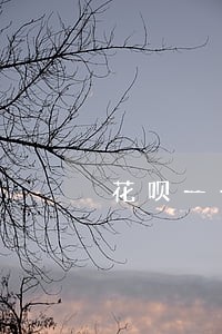 花呗一千块逾期半年多 花呗一千块逾期半年多