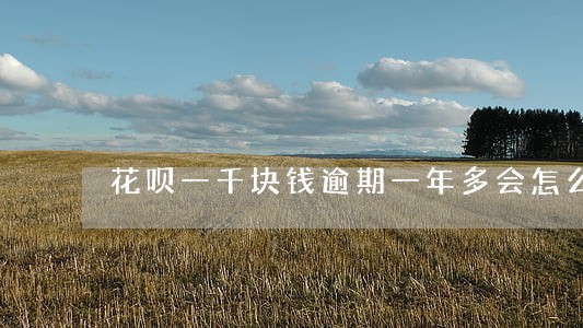 花呗一千块钱逾期一年多会怎么样