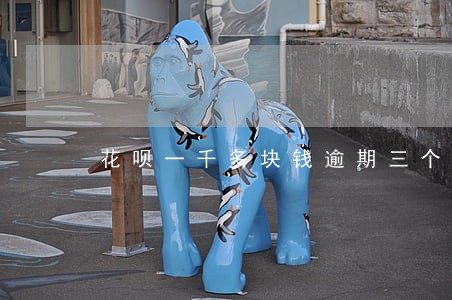 花呗一千多块钱逾期三个月 花呗一千多块钱逾期三个月