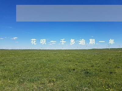 花呗一千多逾期一年 花呗一千多逾期一年