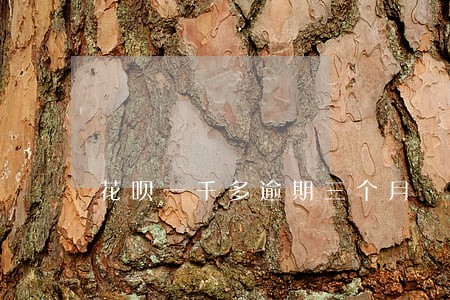 花呗一千多逾期三个月