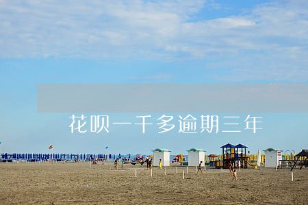 花呗一千多逾期三年