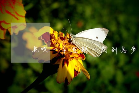 花呗一千逾期一周利息多少 花呗一千逾期一周利息多少