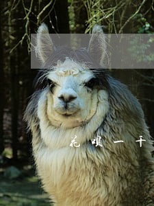花呗一千逾期一年还能使用吗 花呗一千逾期一年还能使用吗