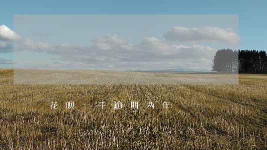 花呗一千逾期两年