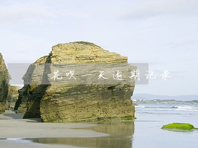 花呗一天逾期记录 花呗一天逾期记录