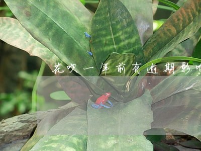 花呗一年前有逾期影响分期吗 花呗一年前有逾期影响分期吗