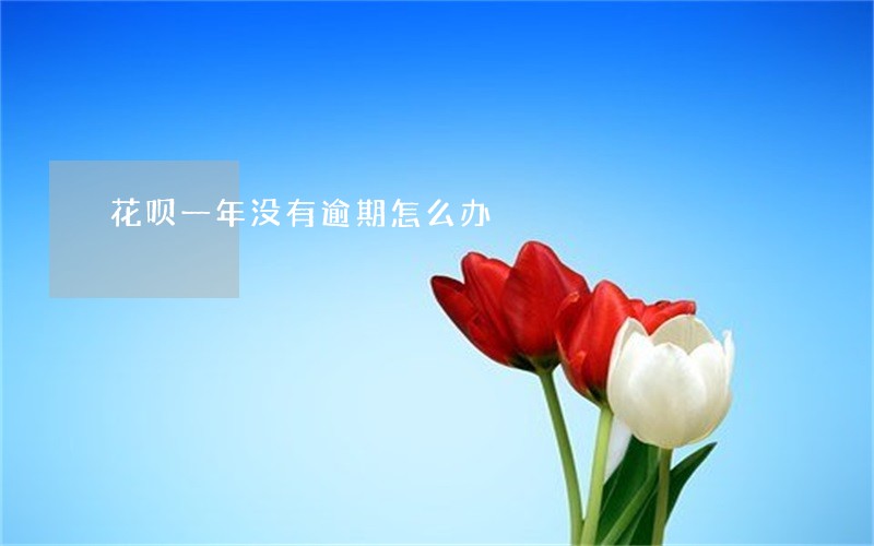 花呗一年没有逾期怎么办 花呗一年没有逾期怎么办