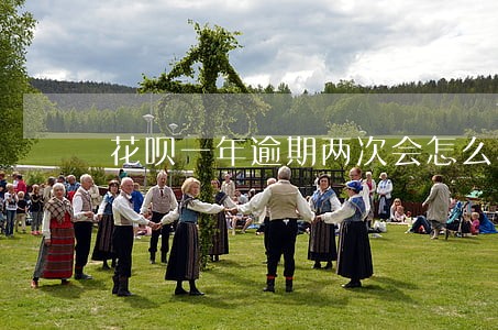 花呗一年逾期两次会怎么样