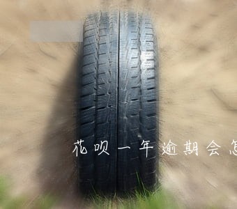 花呗一年逾期会怎么样 花呗一年逾期会怎么样
