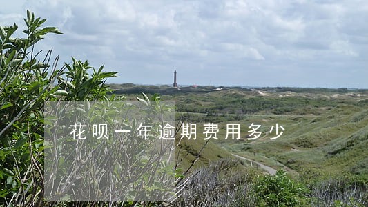 花呗一年逾期费用多少 花呗一年逾期费用多少